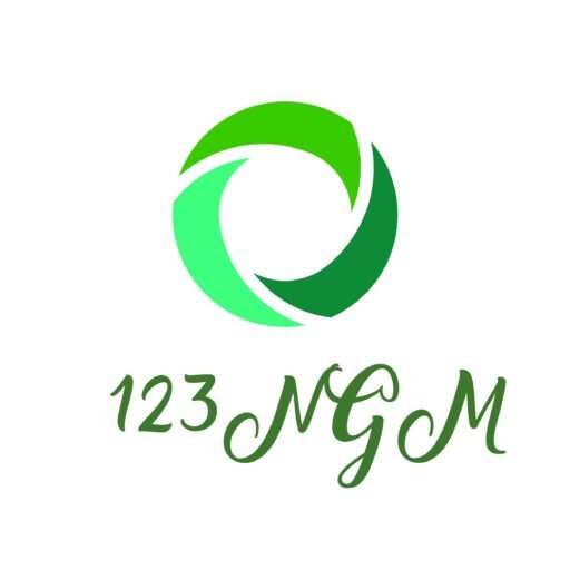 123-NGM LOGO